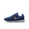 Nike Air Zoom Pegasus