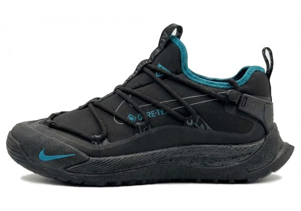 Nike ACG Art Terra Antarktik Low GORE-TEX Black Blue