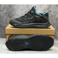 Nike ACG Art Terra Antarktik Low GORE-TEX Black Blue