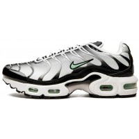 Кроссовки Nike Air Max TN Plus Silver