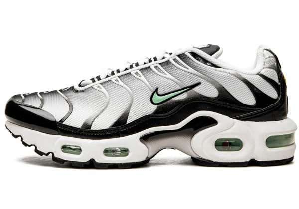 Кроссовки Nike Air Max TN Plus Silver