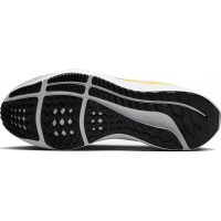 Кроссовки Nike Pegasus 40 White