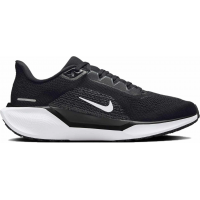Кроссовки Nike Air Zoom Pegasus 41 Black White
