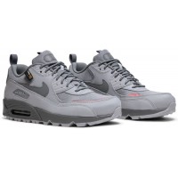 Кроссовки Nike Air Max 90 Surplus Wolf Grey Salt