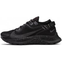 Nike Pegasus Trail 2 GTX Black Metallic Grey
