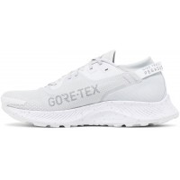 Nike Pegasus Trail 2 GTX Pure Platinum