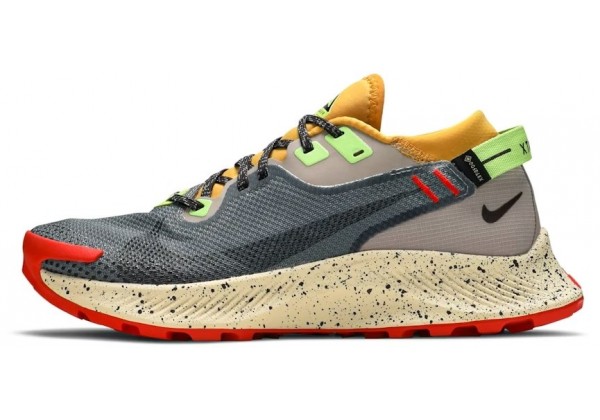 Nike Pegasus Trail 2 GTX Smoke Grey Bucktan
