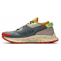Nike Pegasus Trail 2 GTX Smoke Grey Bucktan