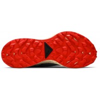 Nike Pegasus Trail 2 GTX Smoke Grey Bucktan