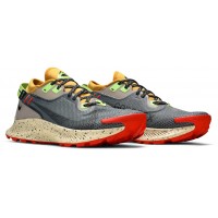 Nike Pegasus Trail 2 GTX Smoke Grey Bucktan