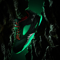 Кроссовки Nike Air Jordan 5 Low Clot