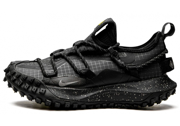 Кроссовки Nike ACG Mountain Fly Low Se Gore Tex Dark Smoke Grey