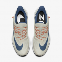 Nike Pegasus FlyEase By Taurus Blue Beige