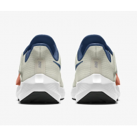 Nike Pegasus FlyEase By Taurus Blue Beige