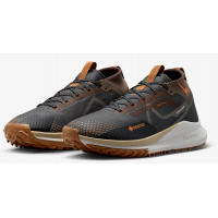 Кроссовки Nike Pegasus Trail 4 GORE-TEX Brown