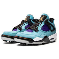 Nike Air Jordan 4 Golf Torrey Pines