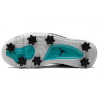 Nike Air Jordan 4 Golf Torrey Pines