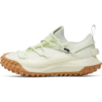 Nike ACG Mountain Fly Low GTX SE Sea Glass