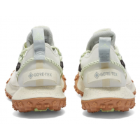 Nike ACG Mountain Fly Low GTX SE Sea Glass