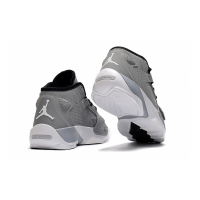 Кроссовки Nike Air Jordan Zion 2 Grey White
