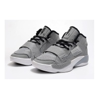 Кроссовки Nike Air Jordan Zion 2 Grey White