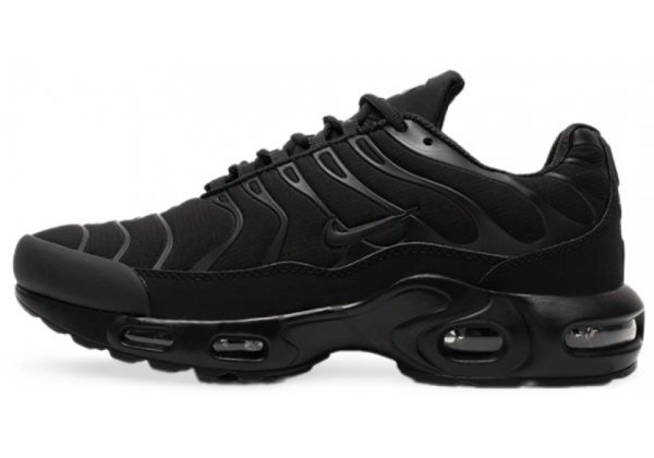 Кроссовки Nike Air Max TN Plus Black
