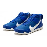 Кроссовки Nike KD 13 TB University Blue