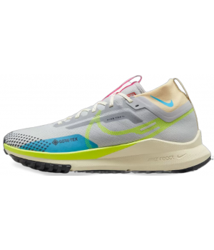 Nike Pegasus Trail 4 GORE-TEX Gray Blue