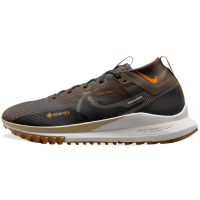 Кроссовки Nike Pegasus Trail 4 GORE-TEX Brown