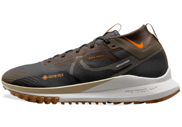 Кроссовки Nike Pegasus Trail 4 GORE-TEX Brown