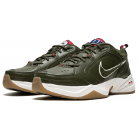 Кроссовки Nike Air Monarch 4 PR Weekend Campout