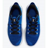 Кроссовки Nike LeBron Witness 5 синие