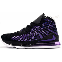 Кроссовки Nike Zoom Lebron XVII 17 Black Purple Online James