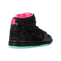 Nike SB Dunk High Premium Northern Lights