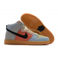 Nike Dunk High Pro SB Spectrum