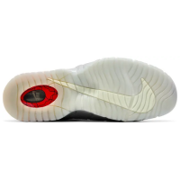 Кроссовки Nike Air Max Penny 1 Doernbecher