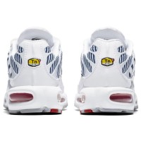 Кроссовки Nike Air Max TN Plus White France