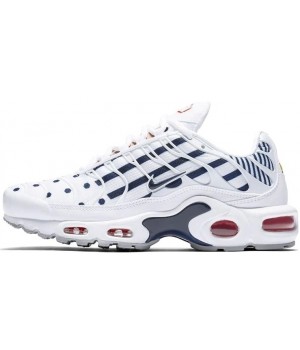 Кроссовки Nike Air Max TN Plus White France