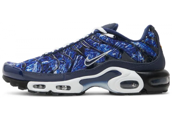 Nike Air Max TN Plus Print Blue White