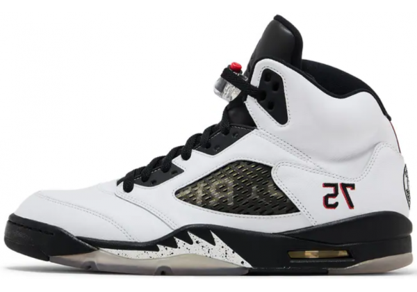 Paris Saint-Germain x Air Jordan 5 Retro Friends & Family