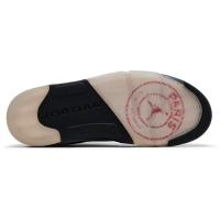 Paris Saint-Germain x Air Jordan 5 Retro Friends & Family