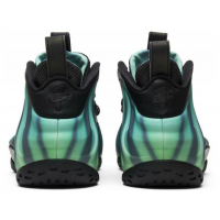 Кроссовки Nike Air Foamposite One Northern Lights