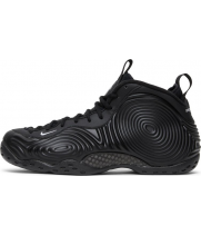 Nike Air Foamposite One Black