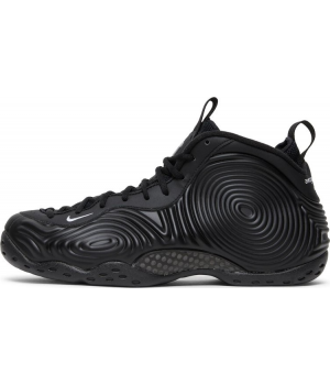 Nike Air Foamposite One Black