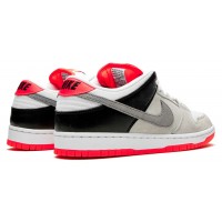 Nike Air Force 1 SB Dunk Low Infared