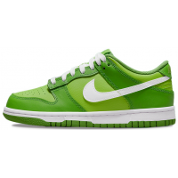 Nike Air Force 1 SB Dunk Low Kermit