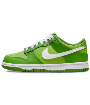 Nike Air Force 1 SB Dunk Low Kermit