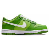 Nike Air Force 1 SB Dunk Low Kermit