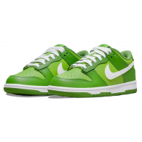Nike Air Force 1 SB Dunk Low Kermit