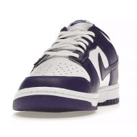 Nike Air Force 1 SB Dunk Low Purple